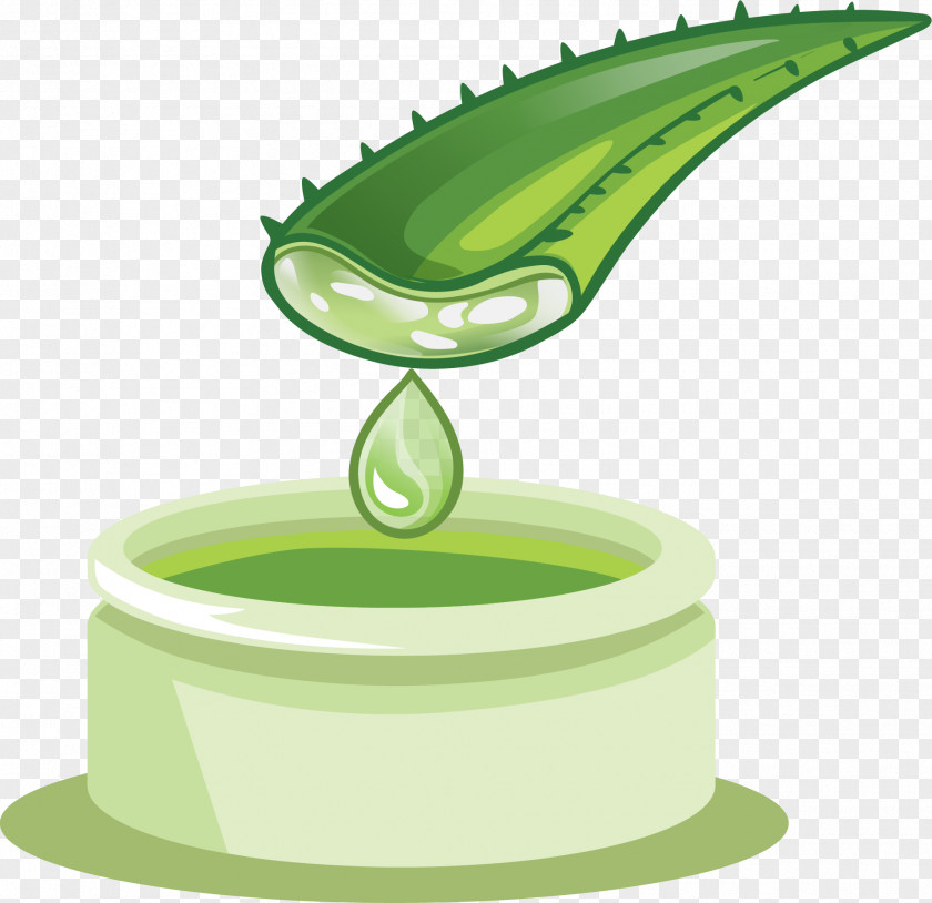 Vector Hand-painted Aloe Extract Vera Euclidean PNG