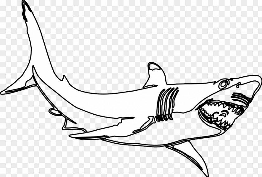 Woodcut Clipart Great White Shark Black And Hammerhead Clip Art PNG