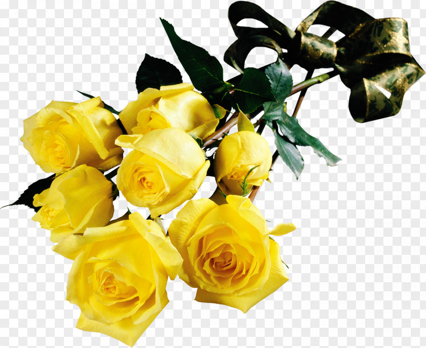 Flower Garden Roses Yellow Red PNG