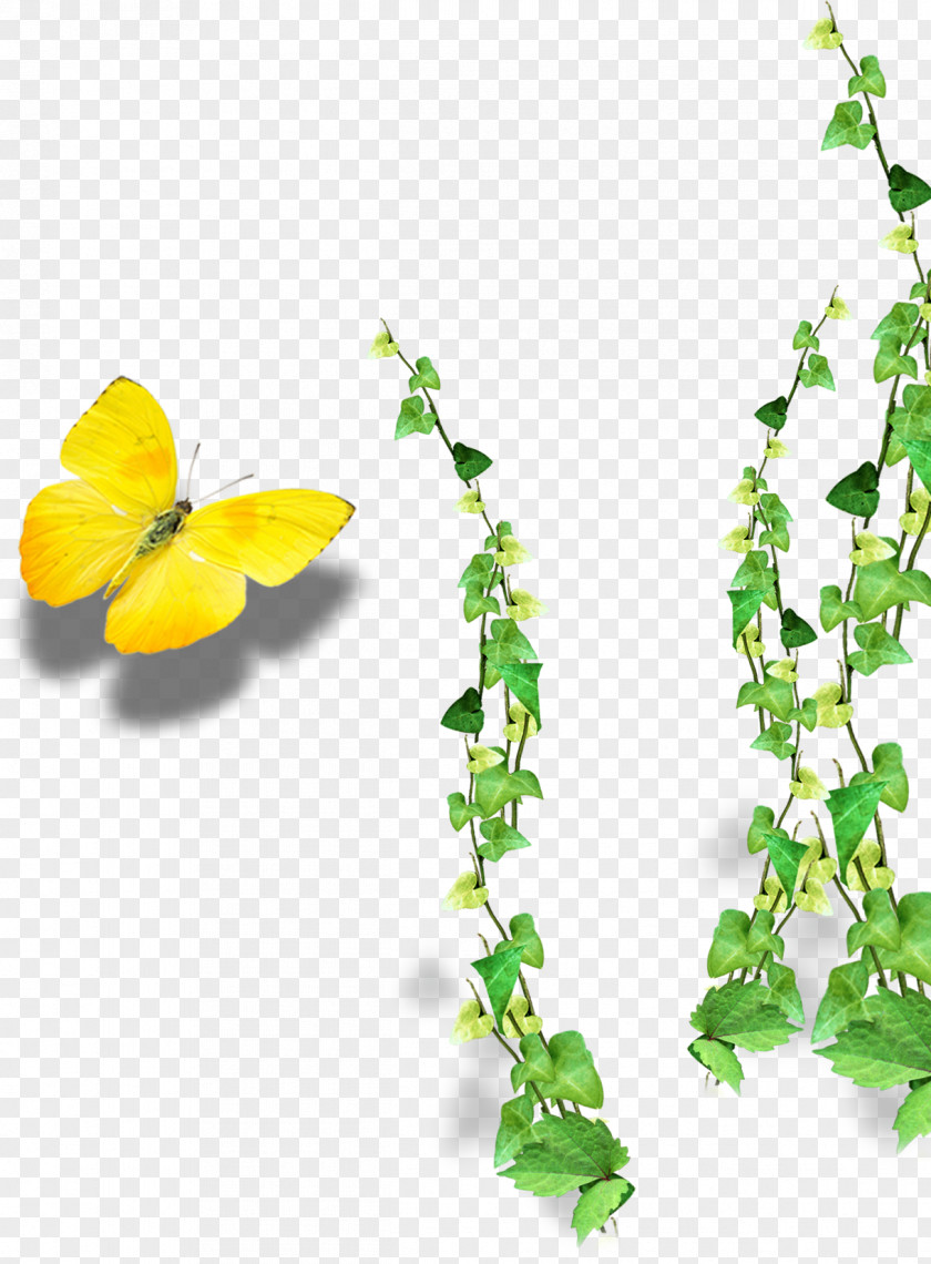 Flower Vine Laptop Download Computer File PNG