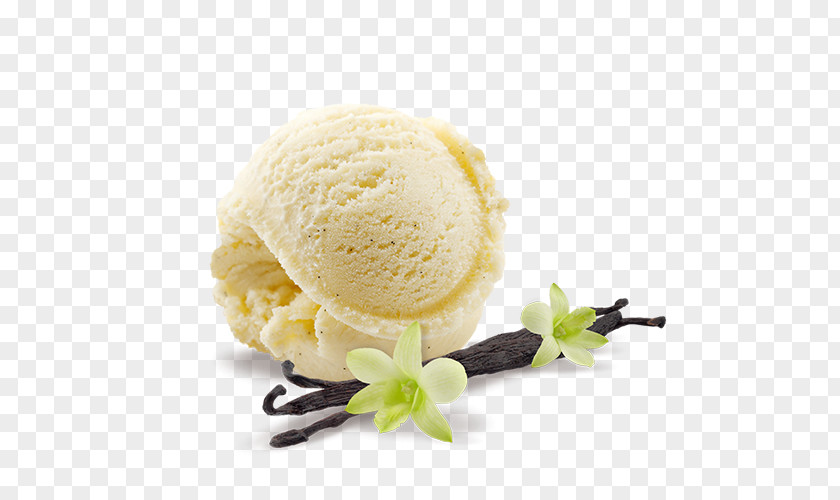 Fresh Pure Plant Chocolate Ice Cream Cones Milkshake Vanilla PNG