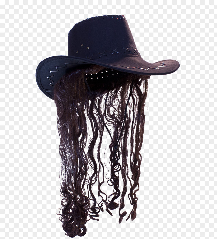 Hat Fedora Cowboy Wig PNG