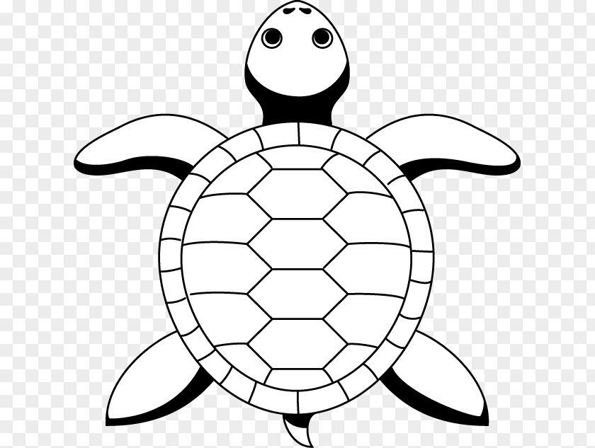 Tortoide Sea Turtle Tortoise Line Art Drawing PNG