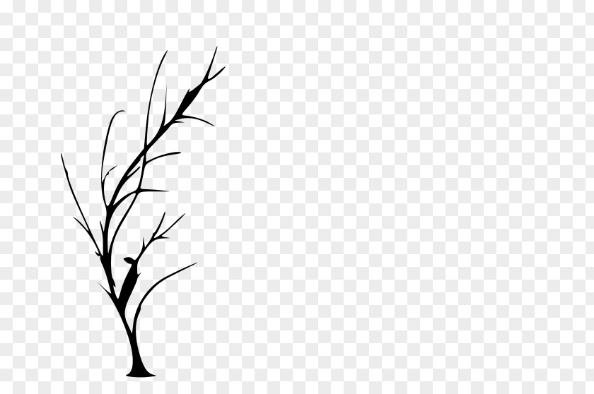 Twig Cliparts Tree Silhouette Drawing Clip Art PNG