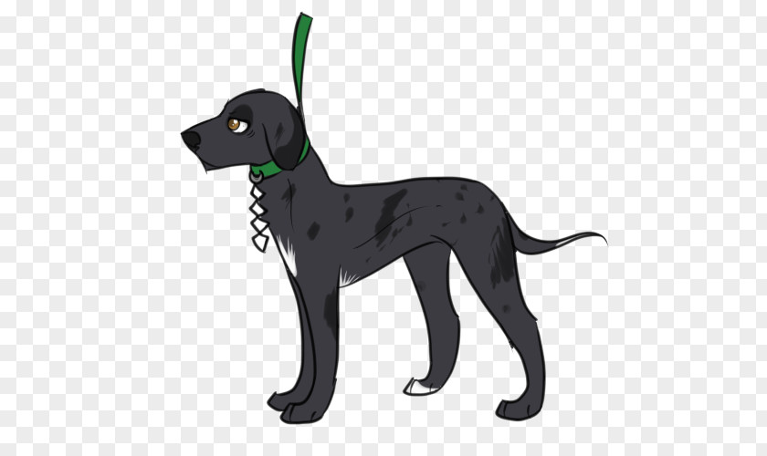 Dog Breed Sporting Group Leash PNG