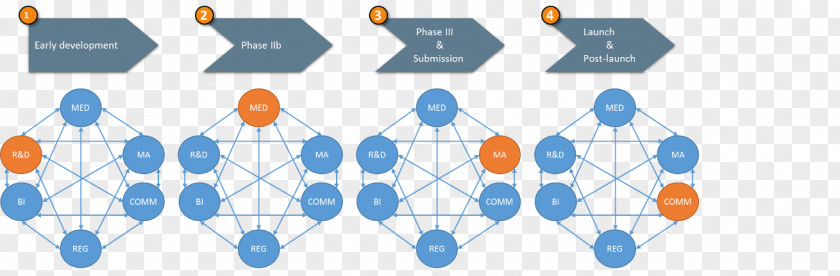 Team Structure Diagram Technology PNG