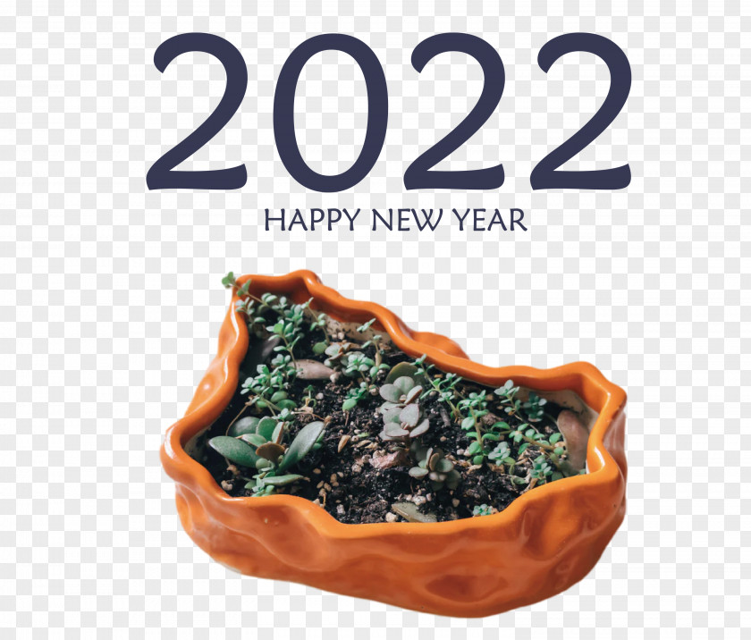 2022 Happy New Year PNG