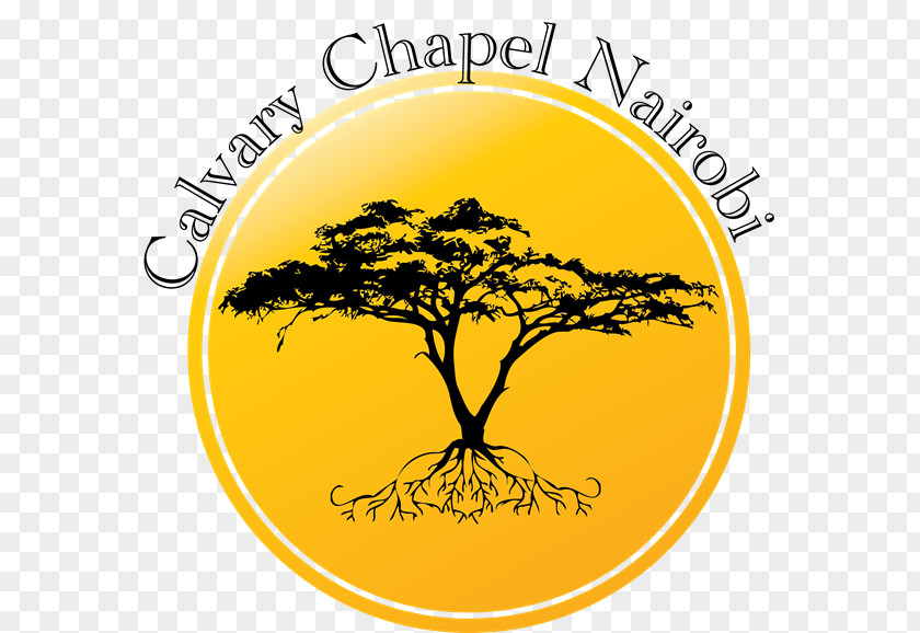 Bible Calvary Chapel Nairobi, Kenya Art Golden Springs PNG