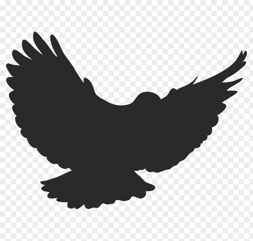 Bird Flight Clip Art PNG