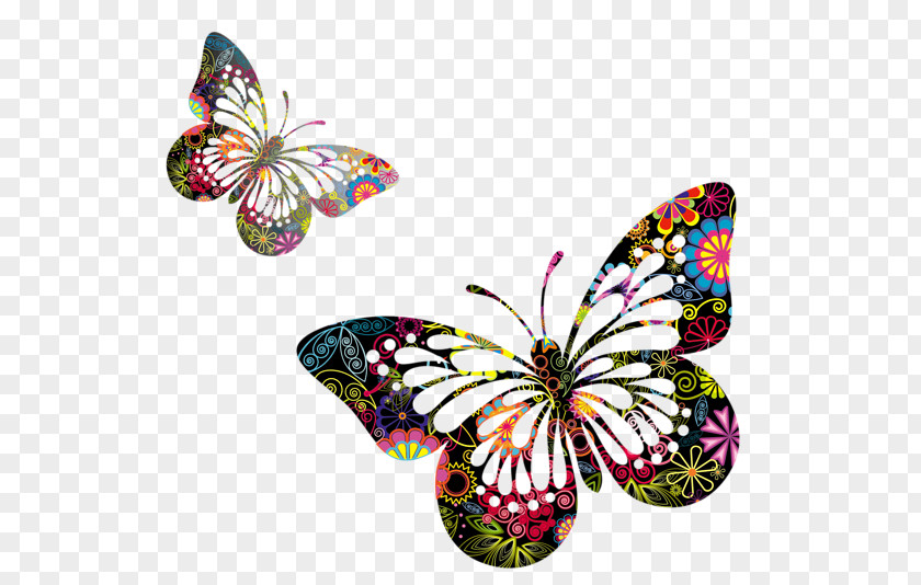 Butterfly Border Clip Art PNG