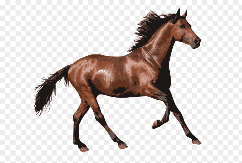 Horse Racing Clip Art PNG