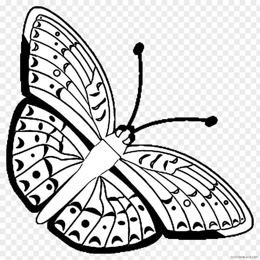 Butterfly Monarch Clip Art Brush-footed Butterflies Drawing PNG