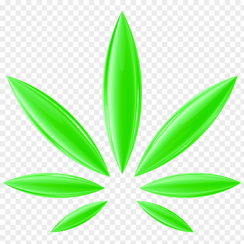 Cannabis Sativa Hemp Medical Drug PNG