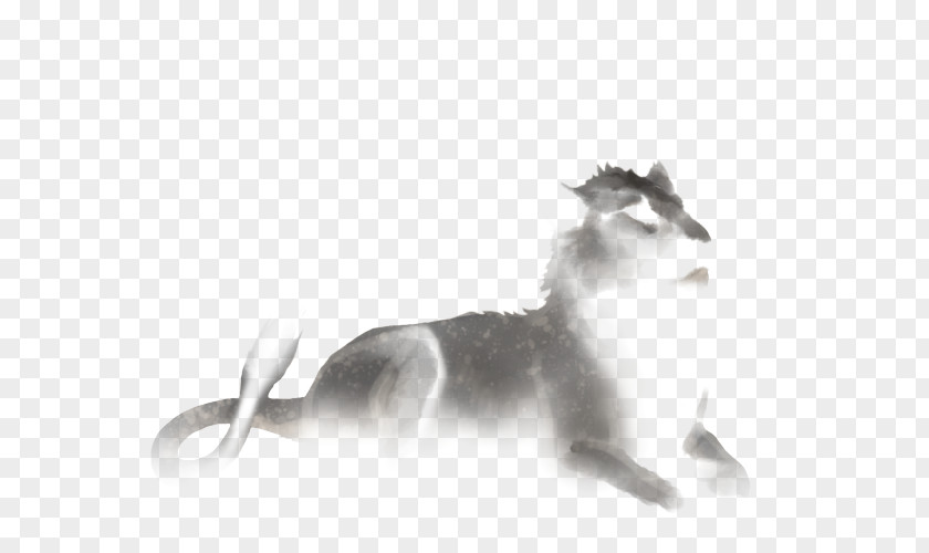 Lion Whiskers Gray Wolf Cat True Foxes PNG