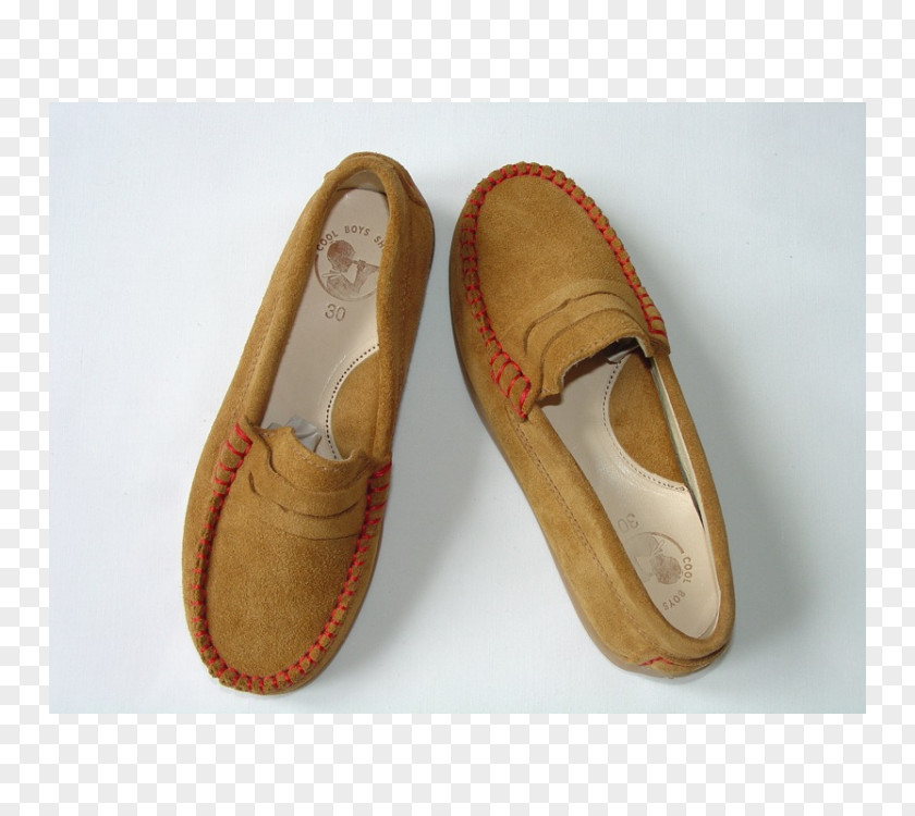 Sandal Slipper Shoe PNG