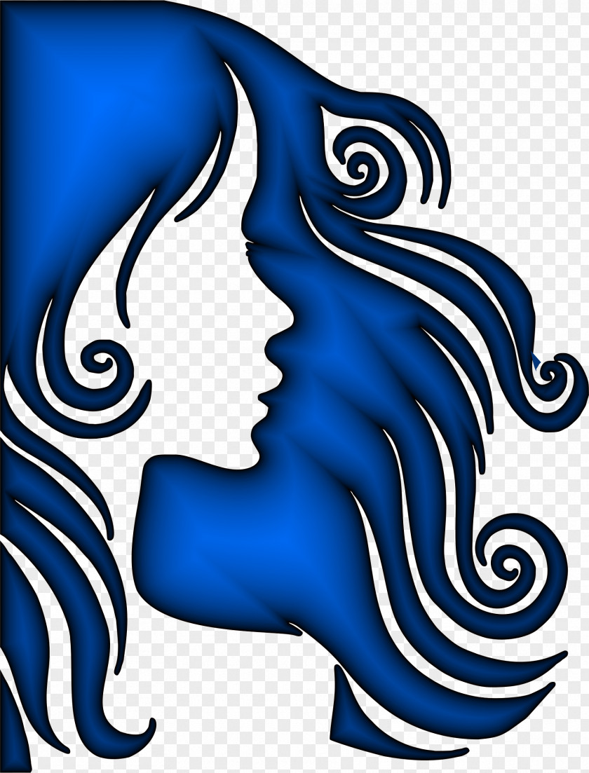 Sapphire Hair Silhouette Clip Art PNG
