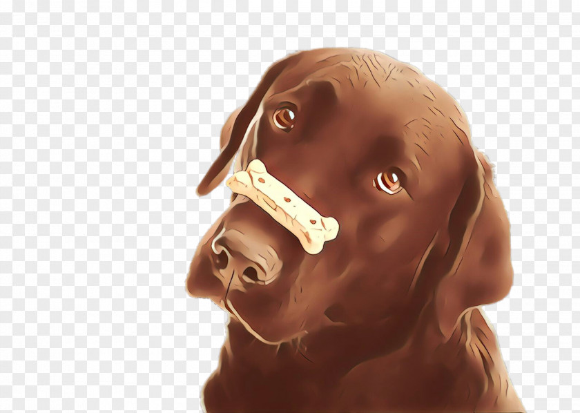 Dog Vizsla Nose Labrador Retriever Sporting Group PNG