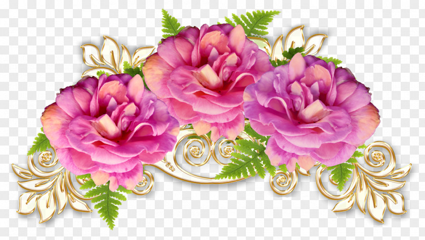 Flower Cabbage Rose Garden Roses Floral Design PNG