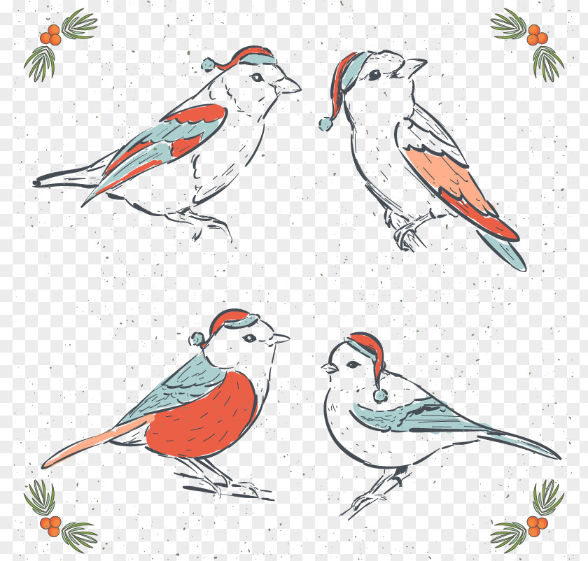 Four Hands Painted Birds In Winter Bird Drawing Euclidean Vector Illustration PNG