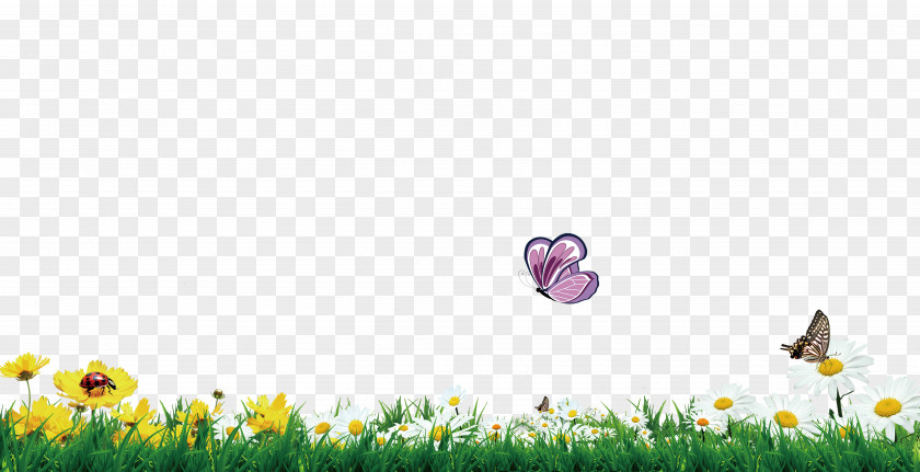 Green Grass Flowers Butterfly Decorative Borders Flower PNG