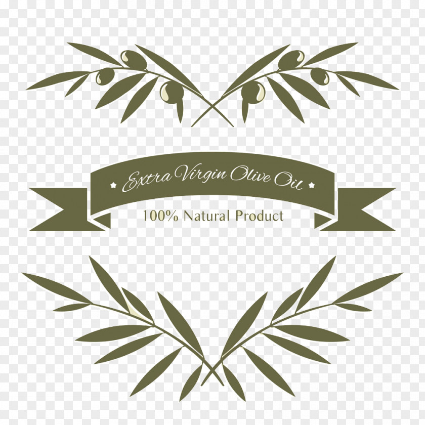 Olive Oil Icon Image Branch PNG