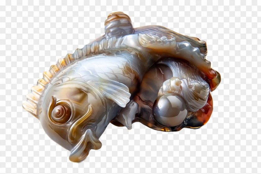 Sea Snail Conch PNG