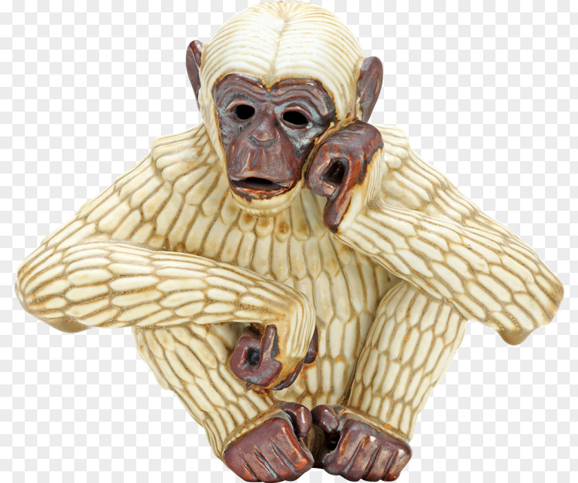 Xc Ape Monkey Gorilla Rörstrand Primate PNG