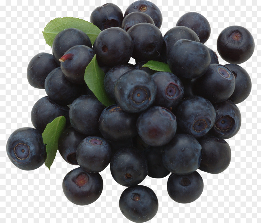Blueberry Fruit Bilberry European PNG