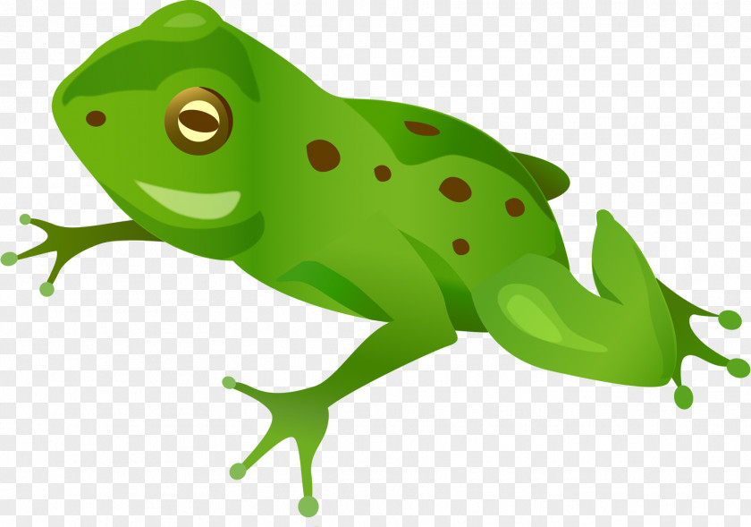 Green Frog Letter Clip Art PNG