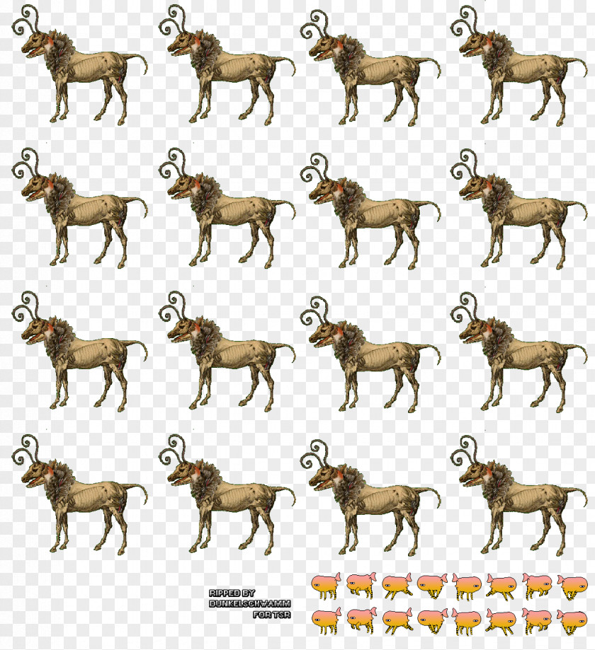 The Deer Western Honey Bee Insect Dog Breed Animal PNG