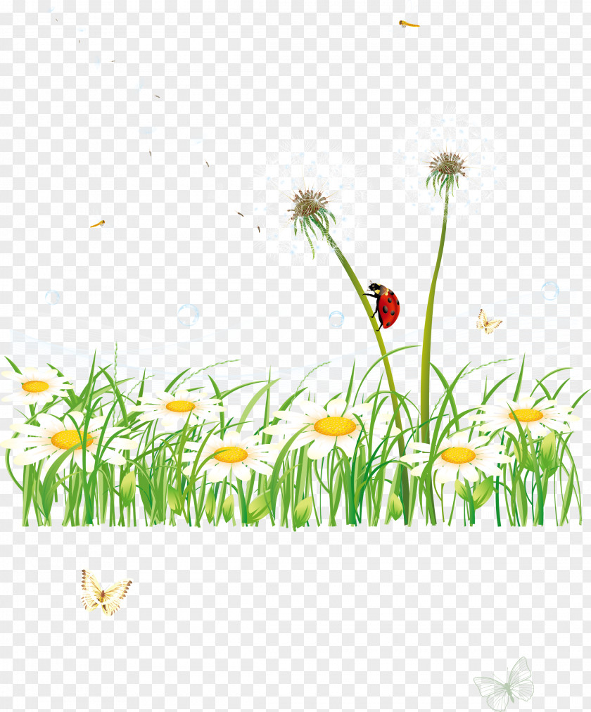 Vector Grass GRASS GIS Euclidean PNG