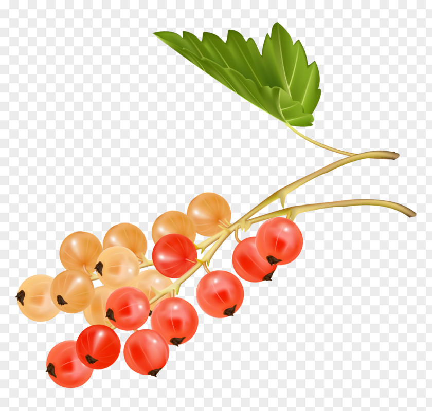 Cherry Juice Zante Currant Fruit Grape PNG