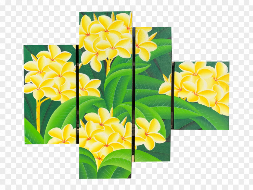 Design Floral Narcissus Petal PNG