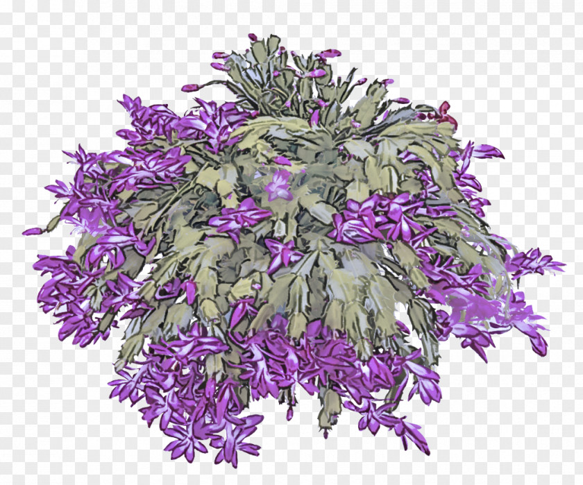 Floral Design PNG