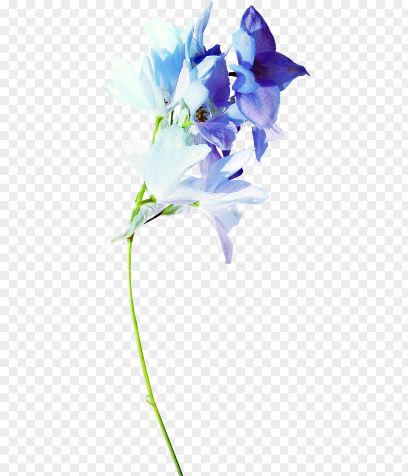 Flower Blue Floral Design Clip Art PNG