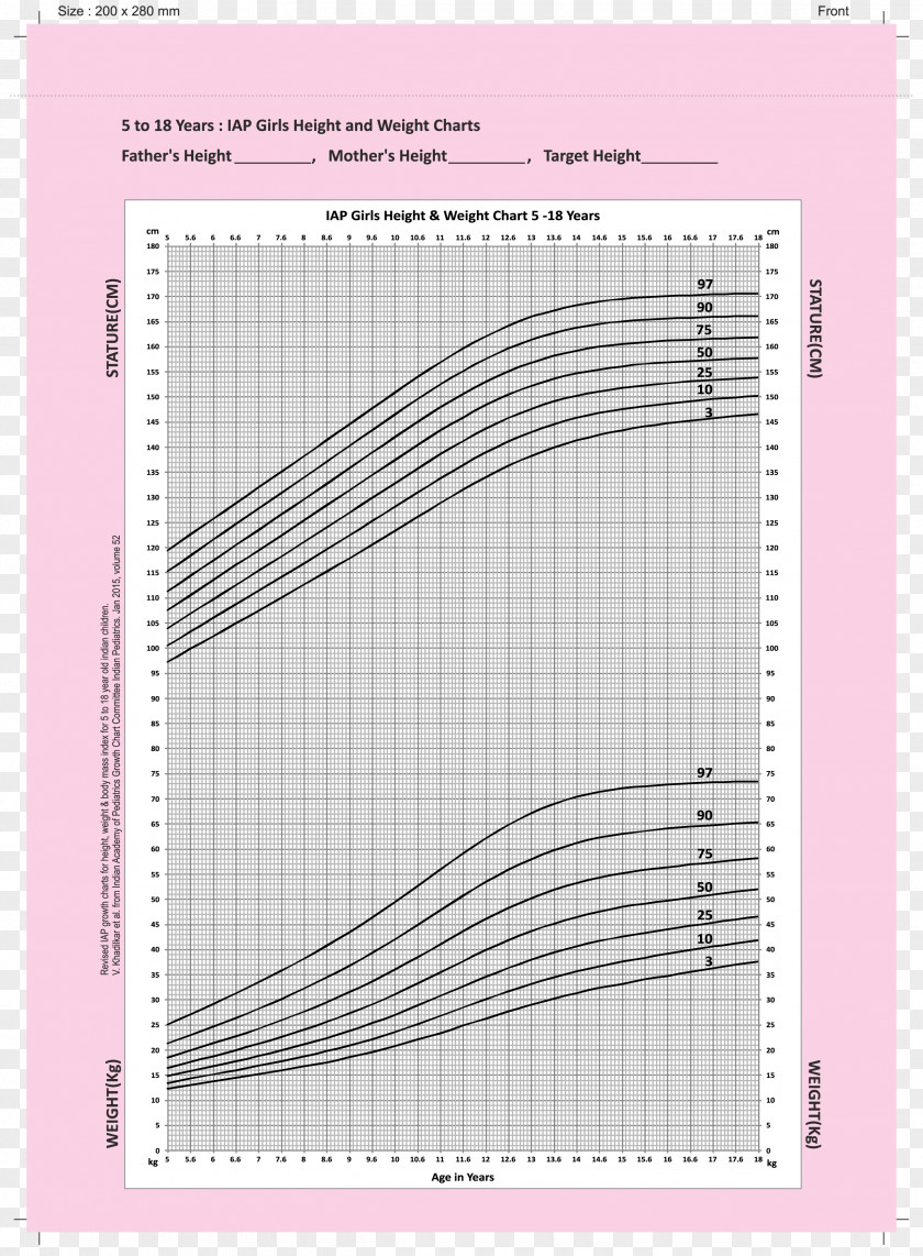 Height Measurement Growth Chart Weight And Percentile Child Pediatrics Infant PNG