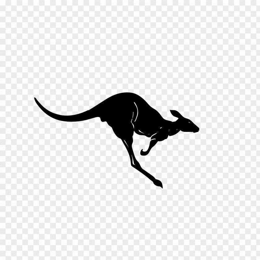 Kangaroo Silhouette PNG