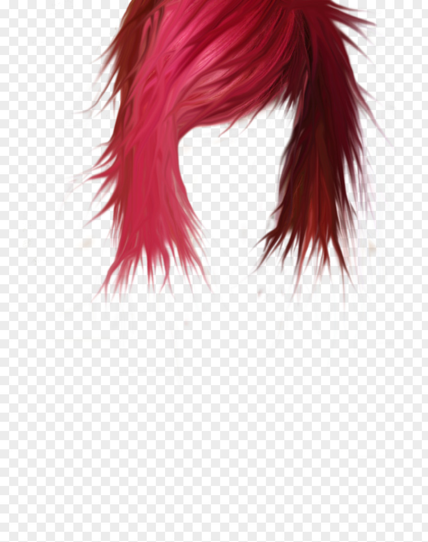 Women Hair Hairstyle Coloring Clip Art PNG