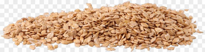 Barley Horse Cereal Oat Whole Grain PNG