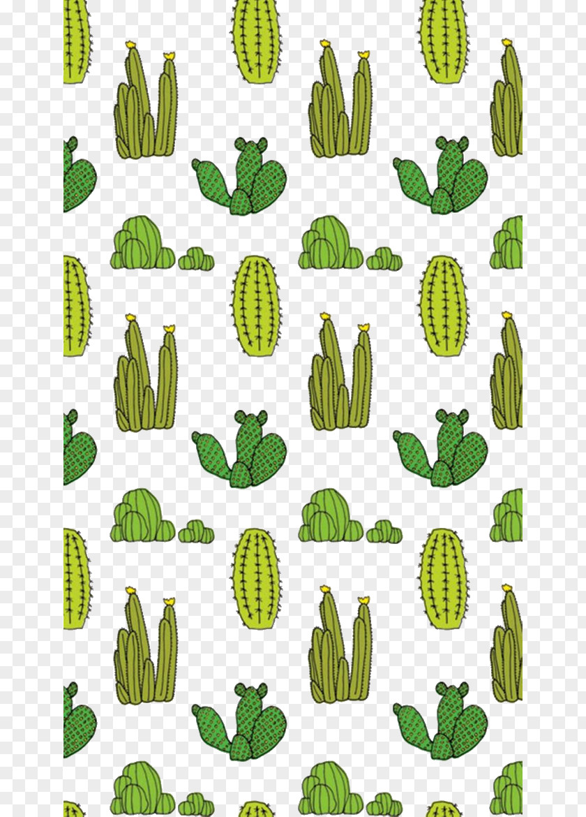 Cactus Float Cactaceae Succulent Plant Drawing Wallpaper PNG