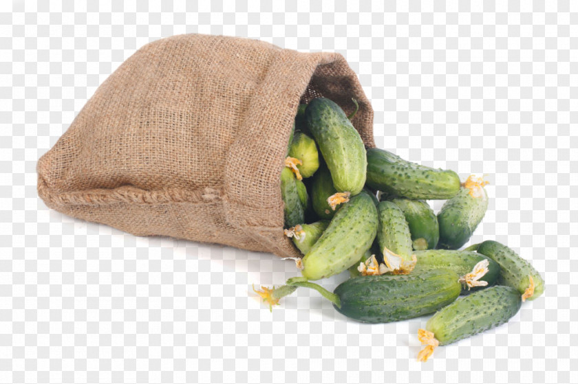 Cucumber Bags Vegetable Gunny Sack Bag Auglis PNG