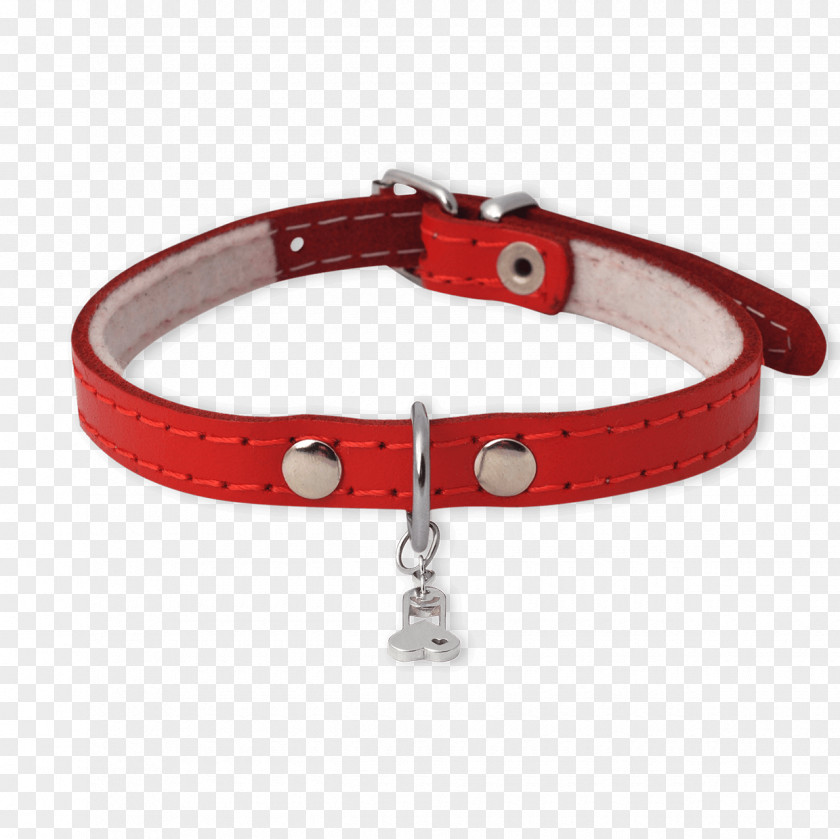 Dog Bracelet Collar PNG