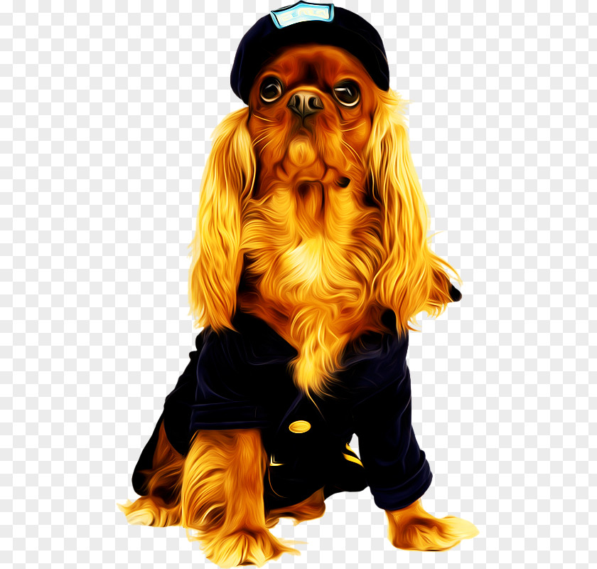 Dog Clothes Puppy Cat Hamster PNG