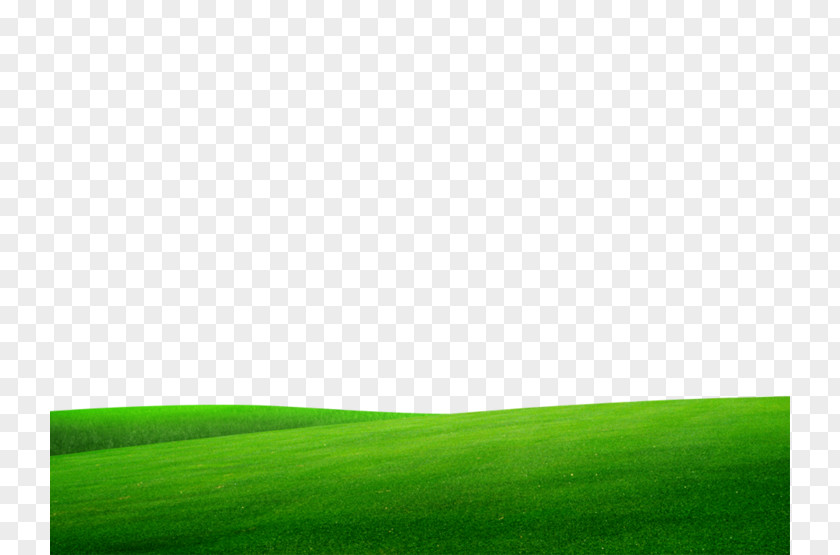 Grass Lawn Energy Desktop Wallpaper Grassland Computer PNG