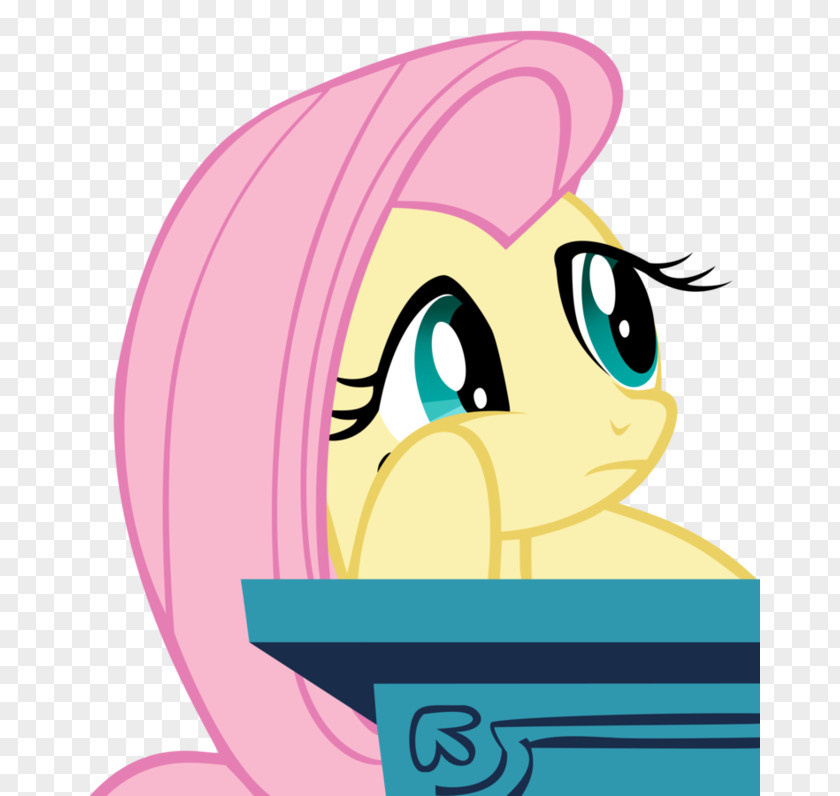 My Little Pony Friendship Is Magic Season 1 Fluttershy Pinkie Pie Twilight Sparkle Rarity Rainbow Dash PNG