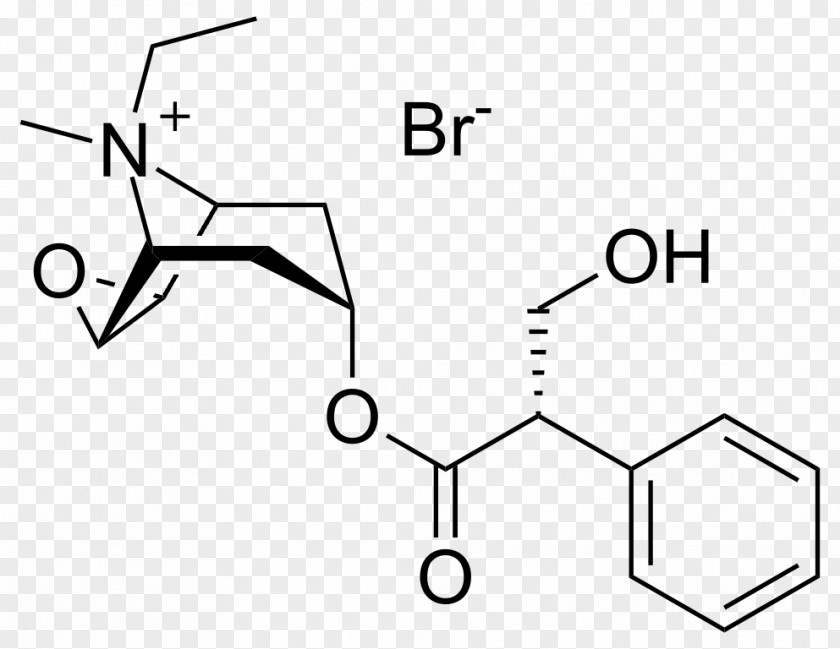Opium Suppression Day Oxitropium Bromide Hyoscine Tiotropium Anticholinergic Pharmaceutical Drug PNG