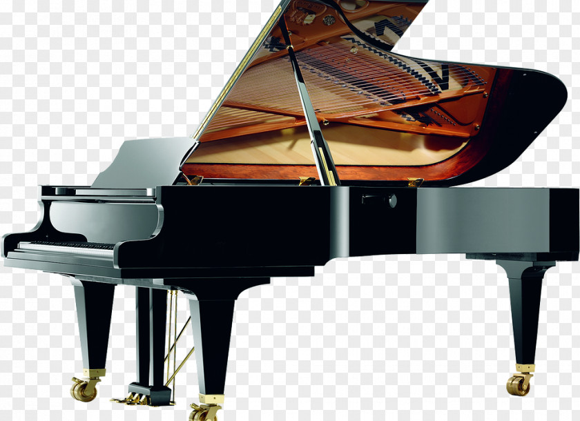Piano Grand Concert Wilhelm Schimmel Steinway & Sons PNG