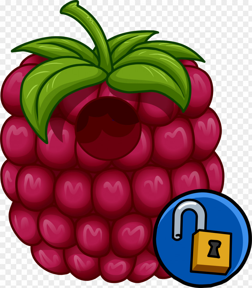 Raspberry Club Penguin Fruit Food Disguise Clothing PNG
