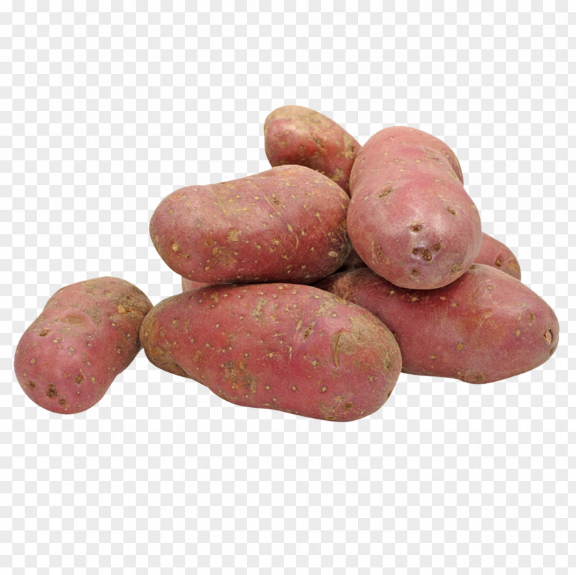 Sweet Potato Nutrient Kerr's Pink Food Vegetable PNG