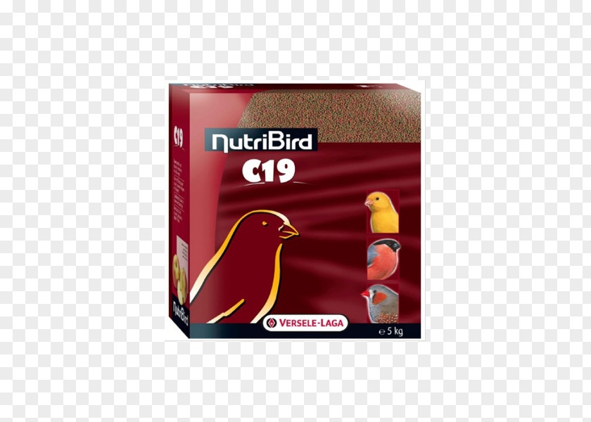 Bird Aliment Composé Domestic Canary Food Budgerigar PNG